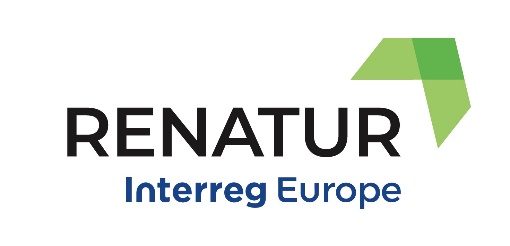 Logo RENATUR