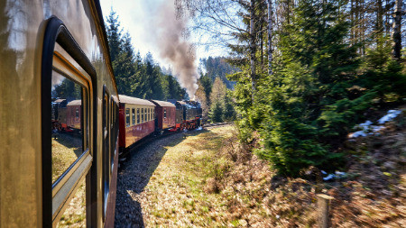 Zug der Brockenbahn fährt durch ein Waldstück